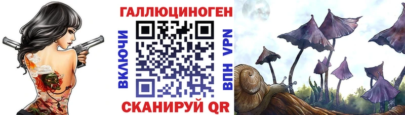 Галлюциногенные грибы Cubensis  купить наркотики цена  Верхнеуральск 